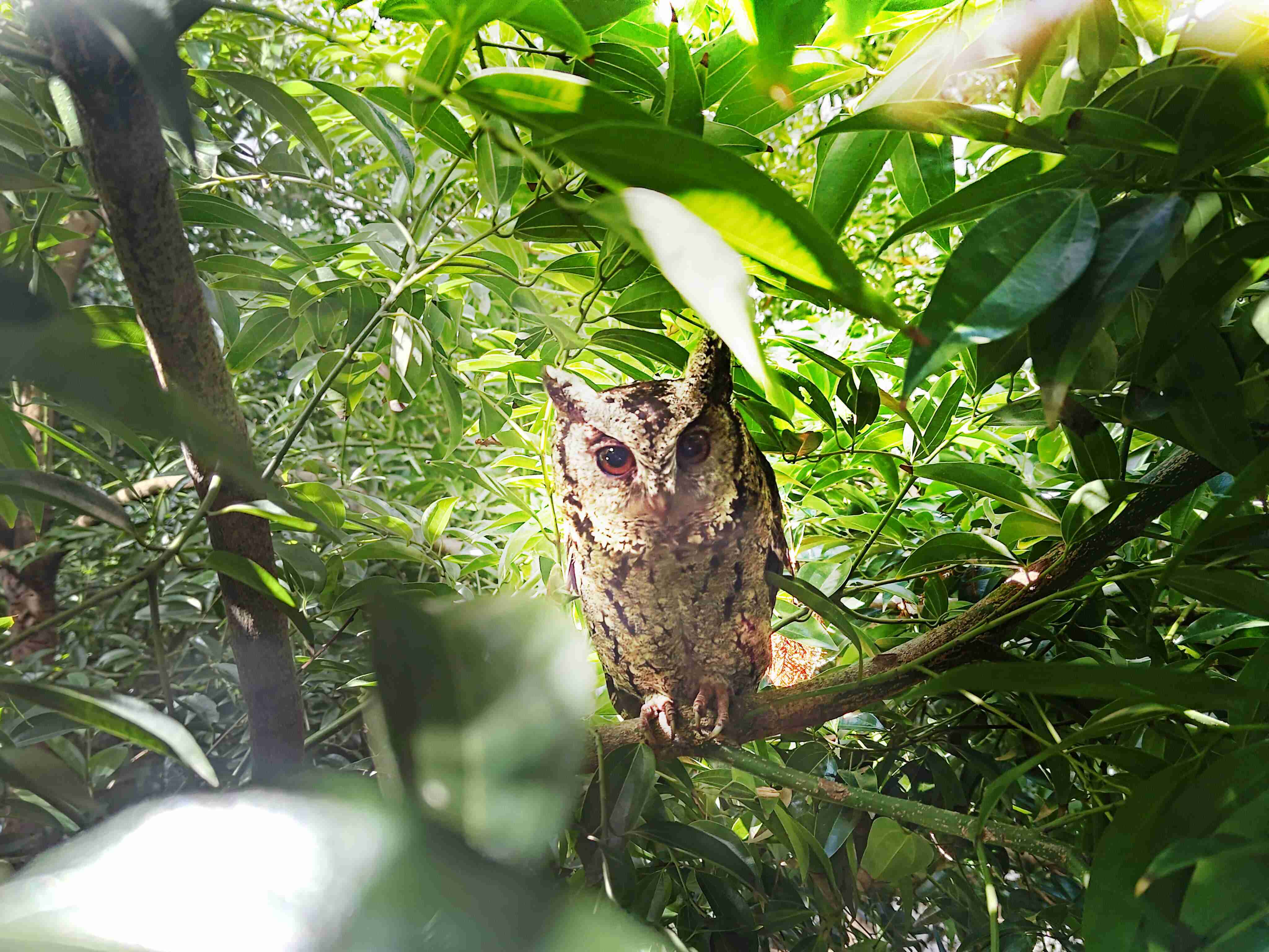人生就是博致力提倡净零绿生活，，16年以来在全球各厂区植树逾百万棵，，，造就各厂区树木蔚然成林，，，犹如森林工厂，，，成为许多生物的栖息地